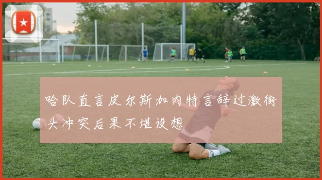 哈队直言皮尔斯加内特言辞过激街头冲突后果不堪设想
